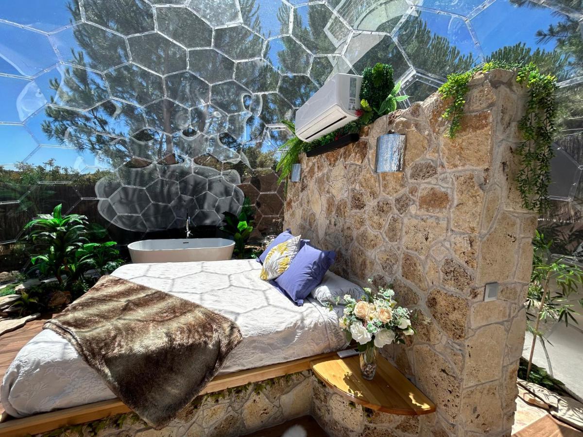 Skd Suite Garnacha Ávila Extérieur photo